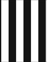 Striped Wallpaper BW28702 by Norwall Wallpaper for sale at Wallpapers To Go