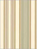 Striped Wallpaper SD25661 by Norwall Wallpaper for sale at Wallpapers To Go