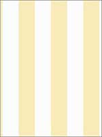 Striped Wallpaper SD36123 by Norwall Wallpaper for sale at Wallpapers To Go