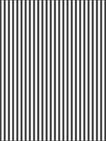 Striped Wallpaper SD36129 by Norwall Wallpaper for sale at Wallpapers To Go