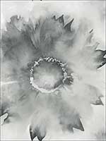 Watercolor Sunflower Wallpaper AH40500 by Seabrook Wallpaper for sale at Wallpapers To Go