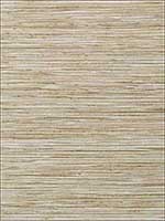 Jindo Grass Neutral on Metallic Silver Wallpaper T75114 by Thibaut Wallpaper for sale at Wallpapers To Go
