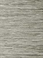 Jindo Grass Charcoal on Metallic Silver Wallpaper T75120 by Thibaut Wallpaper for sale at Wallpapers To Go