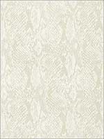 Boa Off White Wallpaper T75166 by Thibaut Wallpaper for sale at Wallpapers To Go