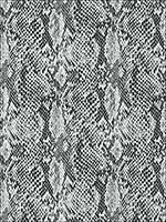 Boa Black and White Wallpaper T75169 by Thibaut Wallpaper for sale at Wallpapers To Go