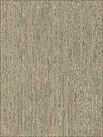 Malevich Light Brown Bark Wallpaper 369092 by Eijffinger Wallpaper for sale at Wallpapers To Go