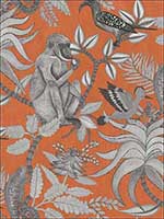 Savuti Orange Wallpaper 1091001 by Cole and Son Wallpaper for sale at Wallpapers To Go