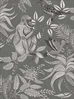 Savuti Charcoal Wallpaper 1091002 by Cole and Son Wallpaper for sale at Wallpapers To Go