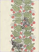 Acacia Green And Coral Berries Wallpaper 10911051 by Cole and Son Wallpaper for sale at Wallpapers To Go