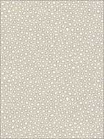 Senzo Spot Stone And White Wallpaper 1096030 by Cole and Son Wallpaper for sale at Wallpapers To Go