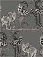 Safari Dance Charcoal Black And White Wallpaper 1098039 by Cole and Son Wallpaper for sale at Wallpapers To Go