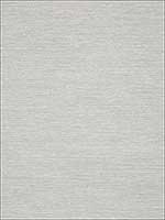 Surfrider Light Grey Wallpaper T13108 by Thibaut Wallpaper for sale at Wallpapers To Go