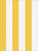 Summer Stripe Yellow Wallpaper T13132 by Thibaut Wallpaper for sale at Wallpapers To Go