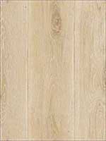 Wood Planks Wallpaper TL31803 by Pelican Prints Wallpaper for sale at Wallpapers To Go