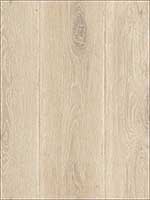 Wood Planks Wallpaper TL31805 by Pelican Prints Wallpaper for sale at Wallpapers To Go