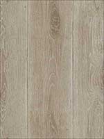 Wood Planks Wallpaper TL31806 by Pelican Prints Wallpaper for sale at Wallpapers To Go