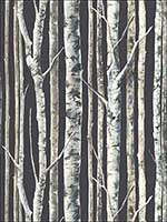 Birch Wallpaper WMAFJ000114 by Mayflower Wallpaper for sale at Wallpapers To Go
