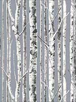 Birch Wallpaper WMAFJ080114 by Mayflower Wallpaper for sale at Wallpapers To Go