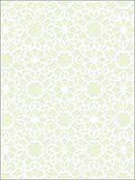 Flower Power Lime Wallpaper HC80304 by Wallquest Wallpaper for sale at Wallpapers To Go