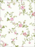 Happy Trails 2 U Blush Wallpaper HC81001 by Wallquest Wallpaper for sale at Wallpapers To Go