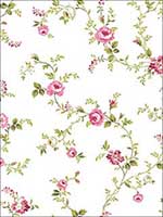 Happy Trails 2 U Fuchsia Wallpaper HC81008 by Wallquest Wallpaper for sale at Wallpapers To Go