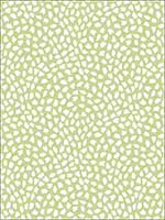 Confetti Lime Wallpaper HC81108 by Wallquest Wallpaper for sale at Wallpapers To Go