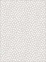 Confetti Coco Wallpaper HC81128 by Wallquest Wallpaper for sale at Wallpapers To Go