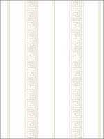 Its Greek to Me Peanut Wallpaper HC81301 by Wallquest Wallpaper for sale at Wallpapers To Go