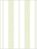 Its Greek to Me Lime Wallpaper HC81312 by Wallquest Wallpaper for sale at Wallpapers To Go