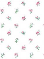 Pick A Posy Pretty Pink Wallpaper HC81801 by Wallquest Wallpaper for sale at Wallpapers To Go