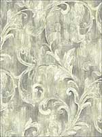 Painterly Acanthus Antique Luster Wallpaper AR30100 by Wallquest Wallpaper for sale at Wallpapers To Go
