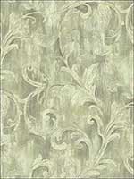Painterly Acanthus Antique Linen Wallpaper AR30102 by Wallquest Wallpaper for sale at Wallpapers To Go