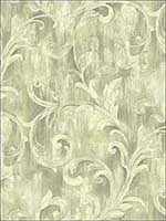 Painterly Acanthus Lustrous Wallpaper AR30107 by Wallquest Wallpaper for sale at Wallpapers To Go