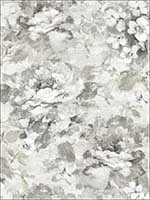 Brushstrokes Gray Garden Wallpaper AR30500 by Wallquest Wallpaper for sale at Wallpapers To Go