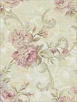 Scrolling Floral Rosy Wallpaper AR31201 by Wallquest Wallpaper for sale at Wallpapers To Go