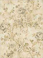 Antiqued Rose Golden Rose Wallpaper MV80405 by Wallquest Wallpaper for sale at Wallpapers To Go