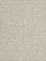 Basket Weave Grey Wallpaper SC0001G1189 by Scalamandre Wallpaper for sale at Wallpapers To Go