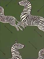 Zebras Serengeti Green Wallpaper WP81388M004 by Scalamandre Wallpaper for sale at Wallpapers To Go