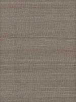 Fine Sisal Nickel Wallpaper SC0007WP88341 by Scalamandre Wallpaper for sale at Wallpapers To Go