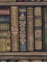 Bookcase Brown Wallpaper LL29570 by Norwall Wallpaper for sale at Wallpapers To Go