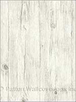 Wood Planks Grey Wallpaper LL36205 by Norwall Wallpaper for sale at Wallpapers To Go