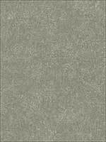 Textured Animal Prints Gray Wallpaper 1221500 by Seabrook Wallpaper for sale at Wallpapers To Go