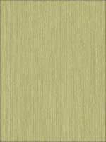 Textured Striped Stria Green Wallpaper 1430504 by Seabrook Wallpaper for sale at Wallpapers To Go