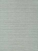 Shang Extra Fine Sisal Mineral Wallpaper T41168 by Thibaut Wallpaper for sale at Wallpapers To Go
