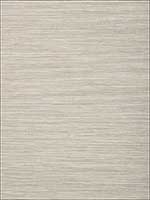 Stream Weave Beige and Silver Wallpaper T72850 by Thibaut Wallpaper for sale at Wallpapers To Go