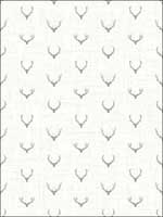 Alaska Antlers Wallpaper TH50308 by Pelican Prints Wallpaper for sale at Wallpapers To Go