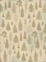 Colorado Pines Wallpaper TH50701 by Pelican Prints Wallpaper for sale at Wallpapers To Go