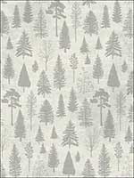 Colorado Pines Wallpaper TH50704 by Pelican Prints Wallpaper for sale at Wallpapers To Go