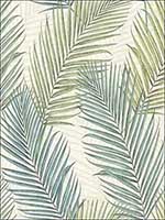 Florida Palms Wallpaper TH51504 by Pelican Prints Wallpaper for sale at Wallpapers To Go