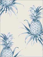 Florida Pineapples Wallpaper TH52002 by Pelican Prints Wallpaper for sale at Wallpapers To Go